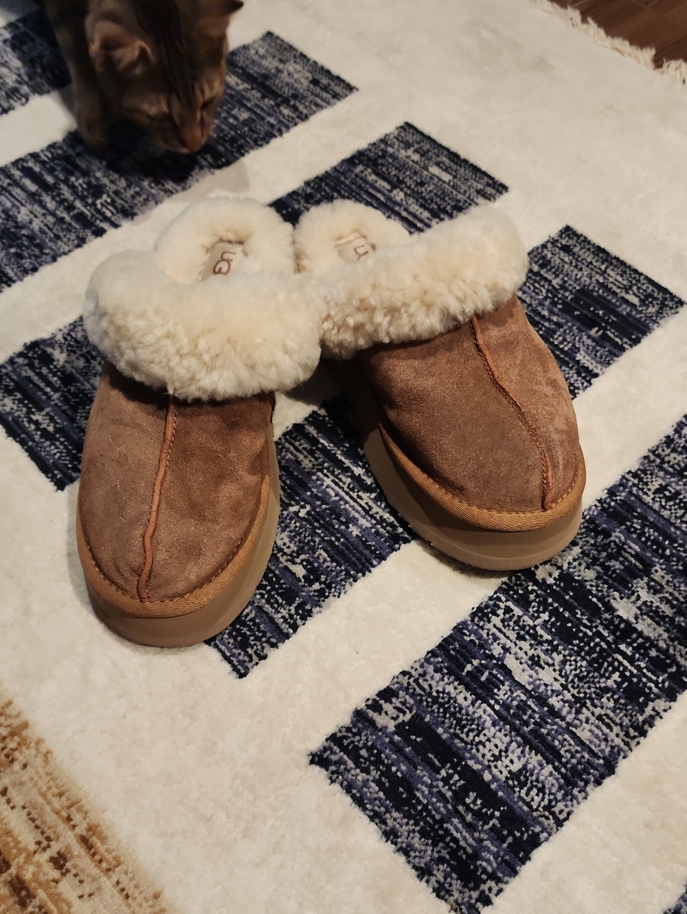 UGG Women's Chestnut Suede Shearling Clog Slippers